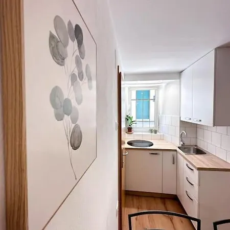 Apartament Central Studio Aci *